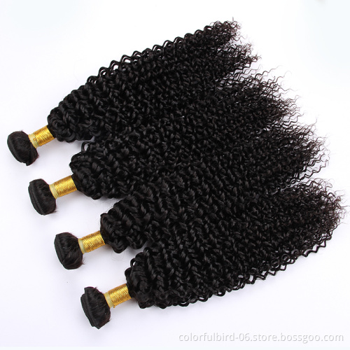 Wholesale jerry curly Double Drawn Bundles 100% Unprocessed human hair for braiding Human Virgin Brazilian Hair